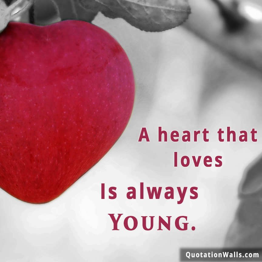 love story dp