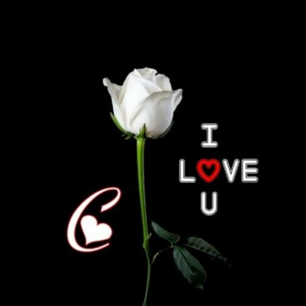 love you dp