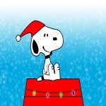 Matching Snoopy PFP (2) Matching Snoopy PFP (2)