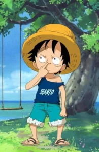 Kid Luffy Profile Pictures