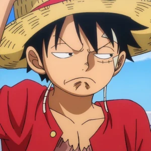 cool luffy pfp aesthetic 2